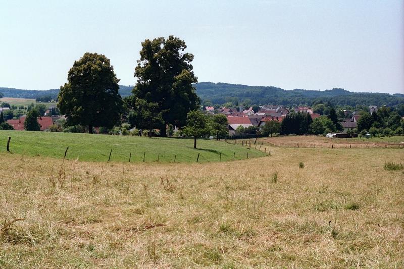 Klein-Eichen