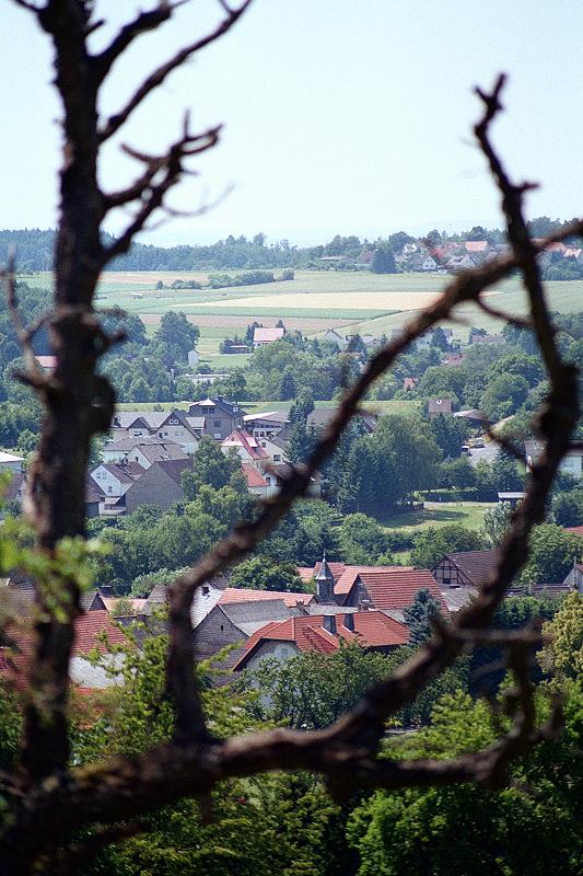 Klein-Eichen