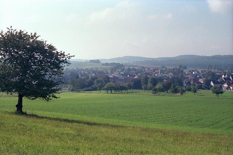 Klein-Eichen