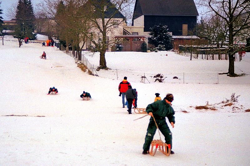 Klein-Eichen