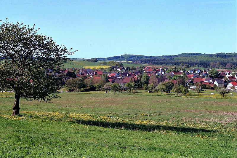 Klein-Eichen