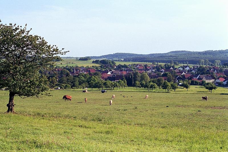 Klein-Eichen