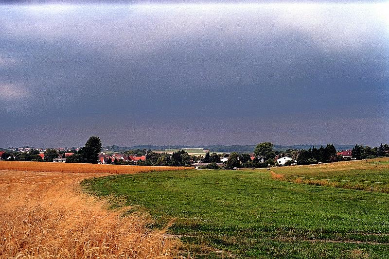 Klein-Eichen