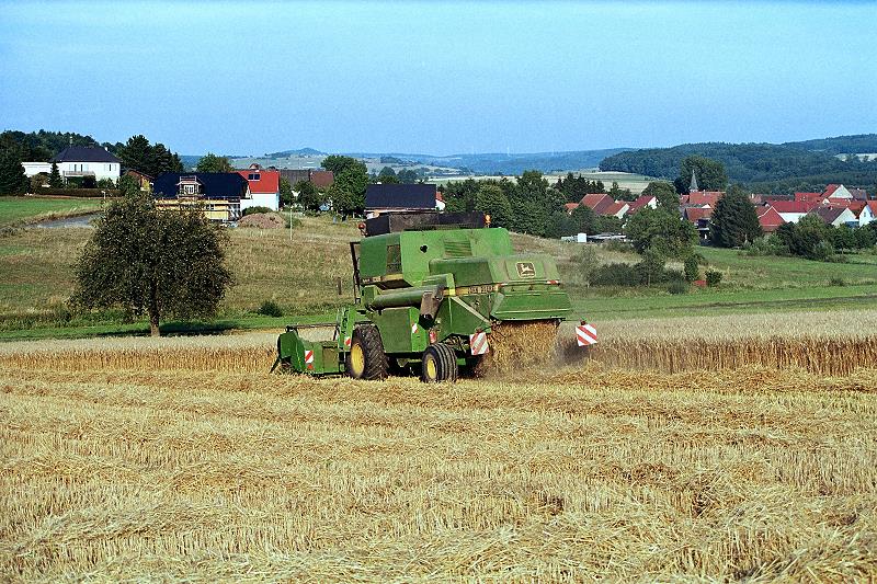 Klein-Eichen