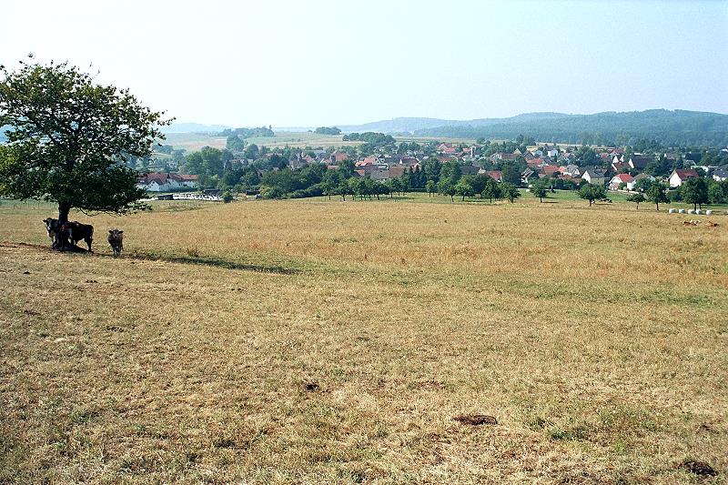 Klein-Eichen
