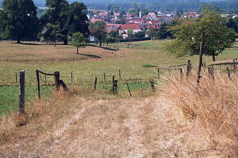 Klein-Eichen