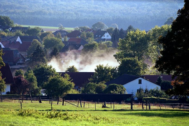 Klein-Eichen