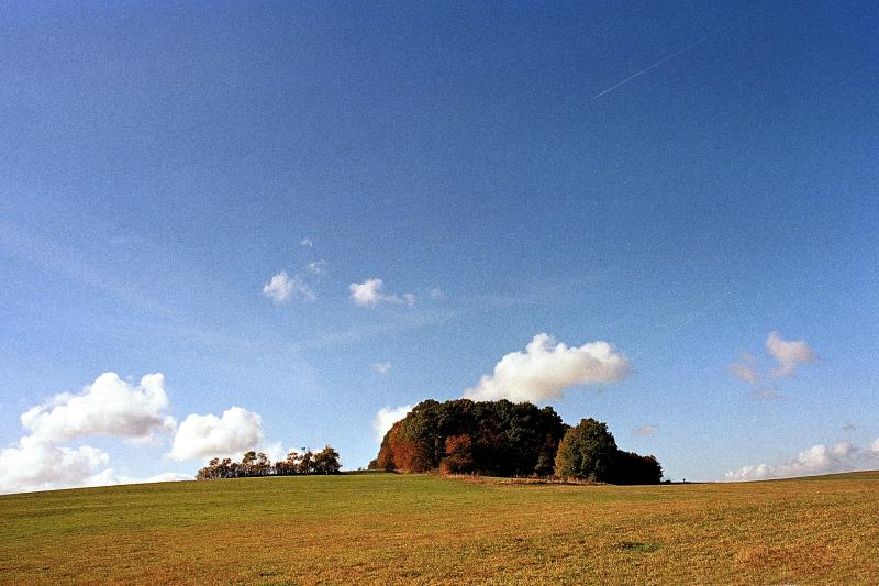 Klein-Eichen