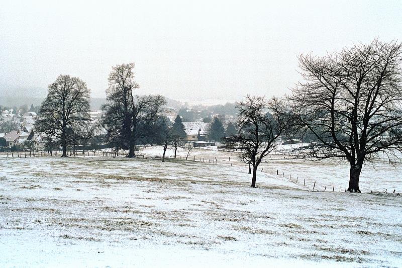 Klein-Eichen