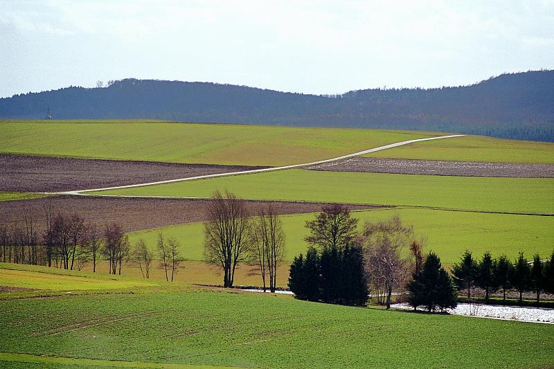 Klein-Eichen