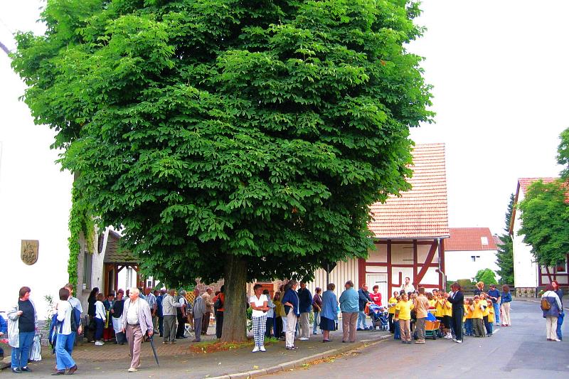 Klein-Eichen