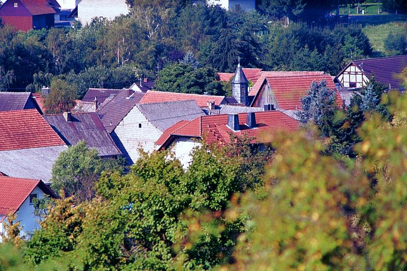 Klein-Eichen