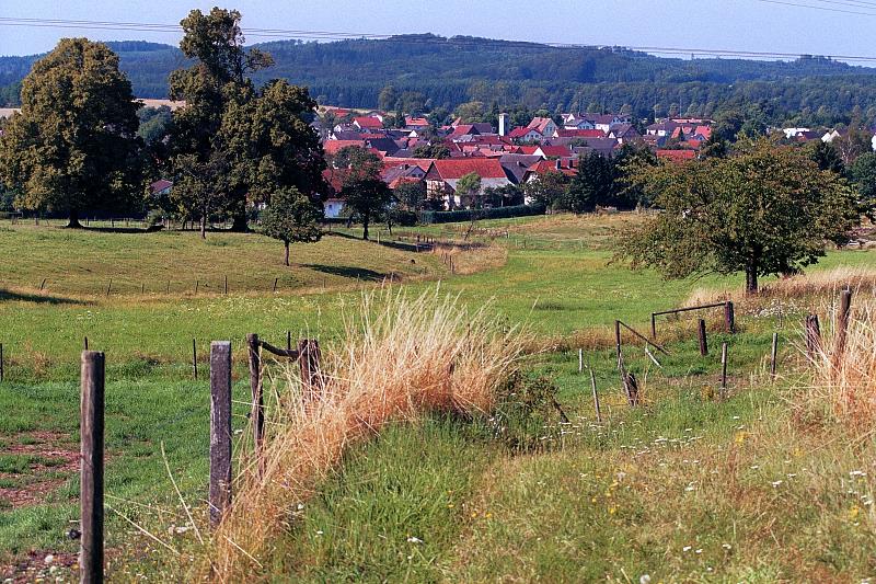 Klein-Eichen
