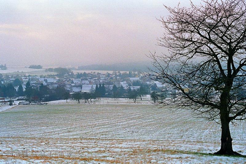 Klein-Eichen