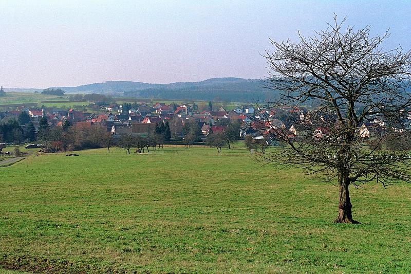 Klein-Eichen