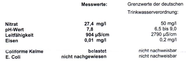 Klein-Eichen