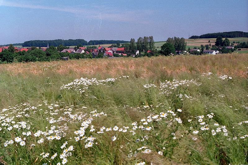 Lardenbach