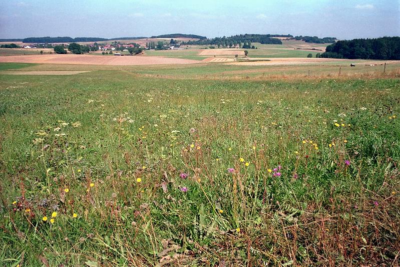 Lardenbach