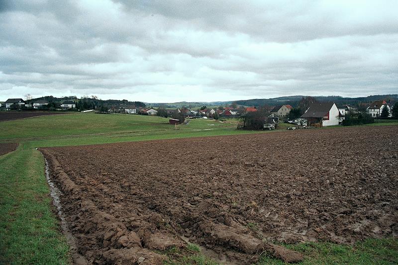 Klein-Eichen