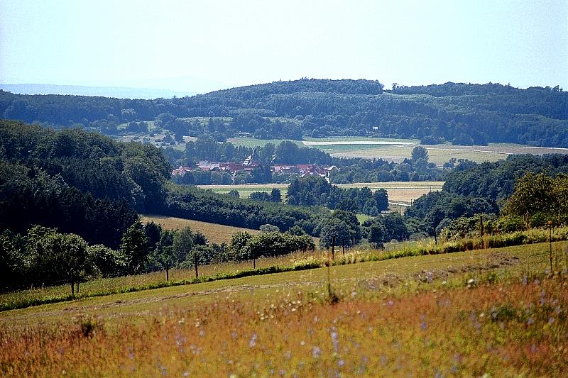 Klein-Eichen