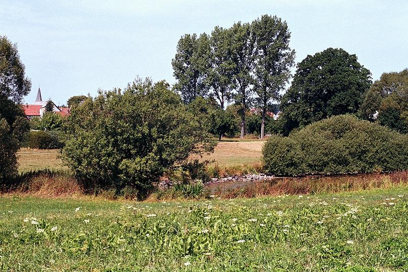 Lardenbach